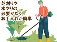 芝刈りや水やりの必要がなく、お手入れが簡単人工芝で雑草対策～人工芝の種類、DIY費用、人工芝雑草対策リフォーム事例[人工芝生,人工芝,メリット,デメリット,diy,費用,DIY,設置方法,おしゃれ]