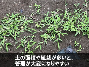 土の面積や植栽が多いと、管理の負担が増えやすい~別荘・実家の庭リフォーム|手入れが楽でおしゃれな雑草対策と施工事例/おしゃれ,別荘,実家,空き家,セカンドハウス,別邸,別宅,雑草対策,手入れが楽,手入れが簡単,庭リフォーム