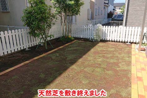 神奈川県藤沢市S様 ドッグラン施工例