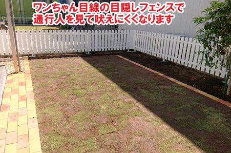 神奈川県藤沢市S様 人工芝生から天然芝生へ、施工例