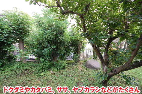 雑草の生えない庭にしてくれる業者を探していた神奈川県秦野市Ｔ様邸　外構工事施工事例