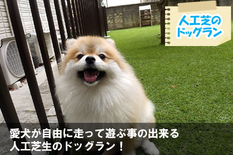 愛犬が自由に走って遊ぶ事の出来る人工芝生のドッグラン！～砂利の庭をおしゃれに雑草対策,砂利の庭を変えたい,土の庭どうにかしたい,土の庭雑草対策,砂利リフォーム