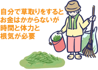 自分で草取りをするとお金はかからないが時間と体力と根気が必要～お金をかけない・お金のかからない・お金のかからない庭、お金をかけない庭作りの知識・こつ・アイデア