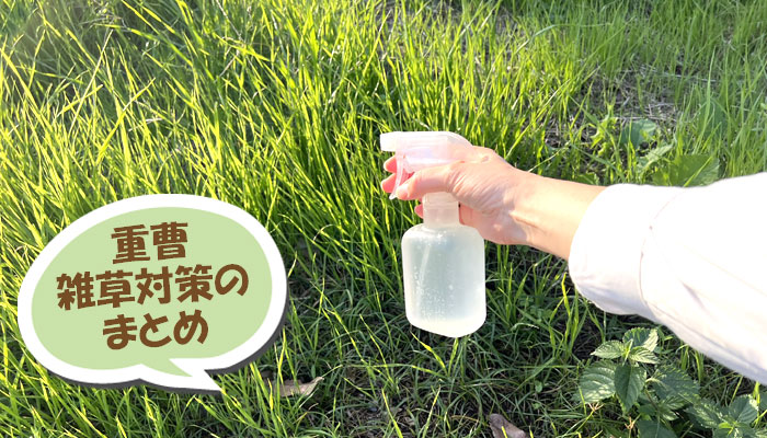 重曹を使った雑草対策のまとめ～重曹,効果,雑草対策,使い方,やり方,方法,枯れる,駆除,除草,メリット,デメリット,濃度,安全性,環境