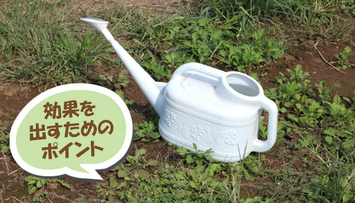 重曹を使った雑草対策 効果を出すためのポイント～重曹,効果,雑草対策,使い方,やり方,方法,枯れる,駆除,除草,メリット,デメリット,濃度,安全性,環境