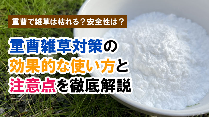 重曹で雑草は枯れる？安全性は？重曹雑草対策の効果的な使い方と注意点を徹底解説