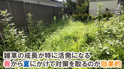 雑草の成長が特に活発になる春から夏にかけて対策を取るのが効果的／DIY雑草対策7選～重曹・石灰・塩・熱湯・ダンボール・コーヒーかす・酢で雑草対策の比較とメリット・デメリット