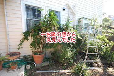 神奈川県藤沢市Y様 庭リフォーム 石張り(石貼り)、植栽目隠し施工事例