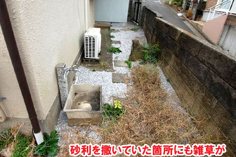 砂利を撒いていた箇所にも雑草が～横浜市 ノーメンテナンスの防草シート・砂利敷き雑草対策工事 無人・誰も住んでいない空き家のお庭のおすすめ管理法