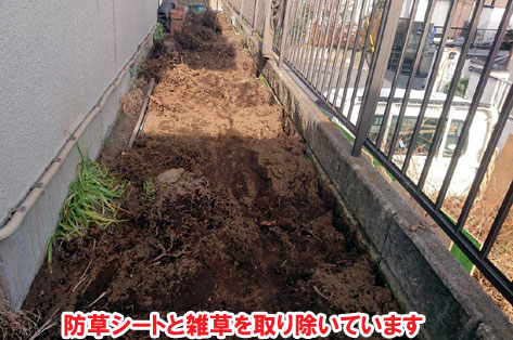 防草シートと雑草を取り除いています～横浜市 ノーメンテナンスの防草シート・砂利敷き雑草対策工事 無人・誰も住んでいない空き家のお庭のおすすめ管理法