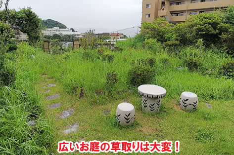 手入れが楽な芝生のお庭～ 神奈川県・鎌倉市・横浜市・川崎市・相模原市・藤沢市・茅ヶ崎市・厚木市・大和市・海老名市・小田原市・二宮町・大磯町・寒川町・平塚市