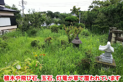 神奈川県横須賀市A様邸 芝生のある広いお庭のコンクリート雑草対策事例 神奈川県・鎌倉市・横浜市・川崎市・相模原市・藤沢市・茅ヶ崎市・厚木市・大和市・海老名市・小田原市・二宮町・大磯町・寒川町・平塚市