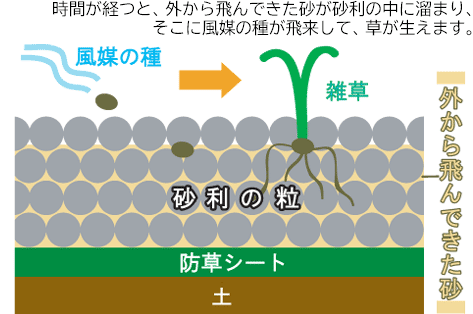 広すぎる庭をコンクリートで管理しやすい庭に～神奈川県横須賀市事例