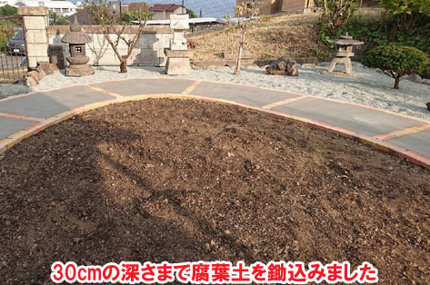 手入れが楽な芝生のお庭～神奈川県横須賀市事例