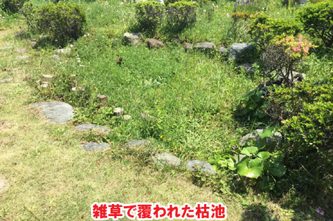 広すぎる庭をコンクリートで管理しやすい庭に～神奈川県横須賀市事例