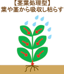 除草剤の種類～茎葉処理型/葉や茎から吸収し枯らす