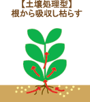 除草剤の種類～土壌処理型/根から吸収し枯らす