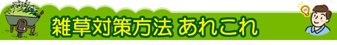 雑草対策 あれこれ 草取り業者に依頼するよりおすすめ～雑草対策「もう二度と草取りしなくてよい方法」枯らして取り除く防草対策から、根本的に生やさない庭草対策まで