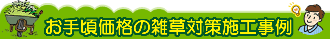 雑草対策の費用 お手ごろ価格(100万円以下)の雑草対策施工事例