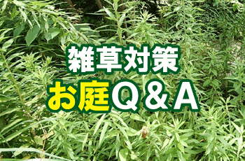 その他の雑草対策Ｑ＆Ａ