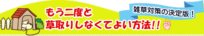 雑草対策「もう二度と草取りしなくてよい方法」枯らして取り除く防草対策から、根本的に生やさない庭草対策まで